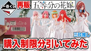 【一番くじ五等分の花嫁】大人気くじが再販！三玖狙いで購入制限分引いてみた！