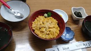 積丹旬の生うに丼ツアー！