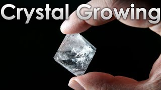 Grow Transparent Single Crystals of Alum salt at Home!