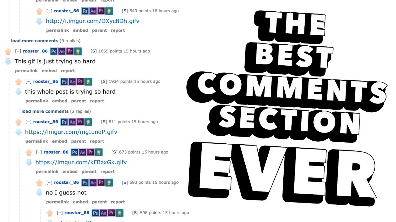 The Best Comments Section Ever Youtube