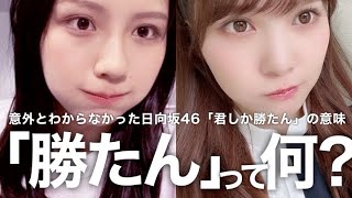 「勝たん」って何？ 加藤史帆 - 渡邉美穂