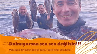 ZIPKINLA BALIK AVI | LAGOS AVI | WHİDE GROUPER | MARMARİS