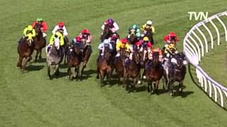 2008 Rupert Clarke Stakes- Orange County