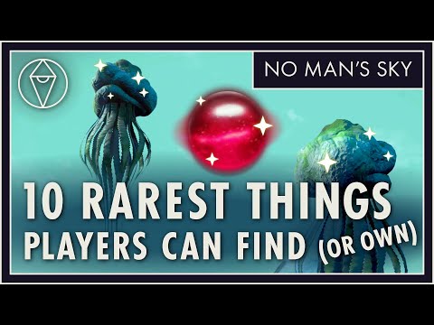 The 10 rarest things in No Man's Sky that you can find or own: collectibles, ships, cosmetics, items