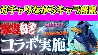 【幽遊白書コラボ】ガチャしながら個人的なキャラ解説【パズドラ実況】