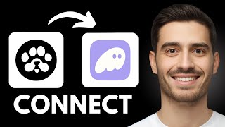 How To Connect Paws To Phantom Wallet - Step by Step