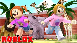 Roblox | Escape The Zoo Obby With Molly & Daisy!