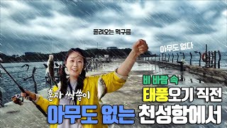 태풍온다고 아무도 없는 천성항에서 비바람 맞으며 혼자서 싹쓸이하는 아잉2 fishing aing2 [여자 낚시꾼 아잉2]