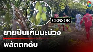 ยายกลัวกระรอกกินมะม่วง ปีนเก็บพลัดตกดับ | 15 ก.พ. 68 | คุยข่าวเช้าช่อง8