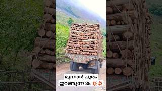 തടി അടിക്കാൻ ഇവൻ കഴിഞ്ഞേ ആളുള്ളൂ...#selorry #lorry #driving #heavydriver #munnar #keralatrending