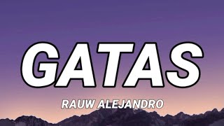 Rauw Alejandro - GATAS (Letra/Mix) | Bad Bunny, Yandel, Feid, Romeo Santos, Chris Lebron,