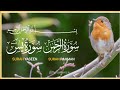 Surah Yasin | quran tilawat |Episode 455| Daily Quran Tilawat Surah Rahman Surah Yaseen Complete 🌹🕋|