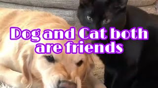 Dog and Cat both are friends - కుక్క మరియు పిల్లి ఇద్దరు ఫ్రెండ్స్