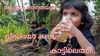 നന്നാരി കുടിക്കാൻ പൂതി മൂത്ത് ഒടുവിൽ കാട്ടിലെത്തി