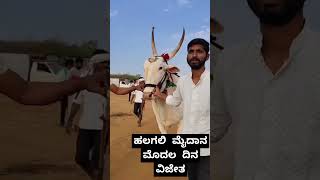 ಹಲಗಲಿ ಮೈದಾನ ಮೊದಲ ದಿನ ವಿಜೇತ🚩#video #varel #terending #terabandi #reels #newjanapada #janpada #bull