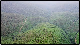 Sinematik Tadında Eşsiz manzarası ile ''DOĞA'' Alaçam Dağları(Green view of nature)