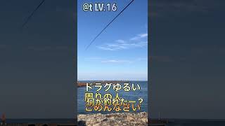 アジングワームで釣れたのは…？ #釣り #エギング #堤防 #ソゲ#ヒラメ　#月下美人　この後連続でヒットしました。アジングワームでソゲは釣れやすい？