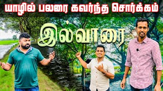 யாழில் பலரையும் கவர்ந்த சொர்க்கம் இல்வாரை | Chavakacheri ilvarai | Ilvarai | Jaffna Ilvarai