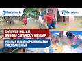 Diguyur Hujan, Sungai Citanduy Meluap, Puluhan Rumah di Pangandaran Terendam Banjir