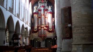 Grote Kerk (St Bavo's) in Haarlem, Netherlands