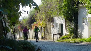 Weinviertler Kellergassen auf dem Fahrrad erkunden