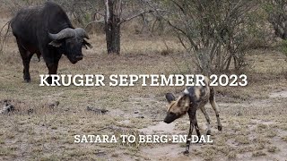 Kruger September 2023 - Satara to Berg-en-Dal