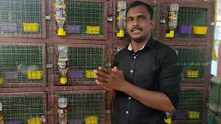 SK LOFT THIRUVERKADU