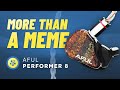 Aful Performer 8 REVIEW!