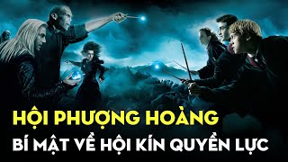 Hội phượng hoàng – Thành trì trụ vững cuối cùng của phù thuỷ chính nghĩa | Harry Potter |Ten Tickers