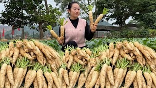 Harvest radishes and bring them to the market to sell - make silage