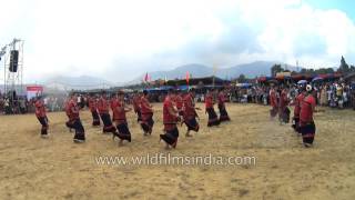 Chakma dance by Tripura's folk dancers