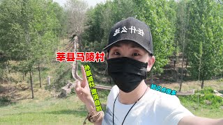 五一长假文旅聊城，孙膑减灶庞涓自刎皆出于此，您来过吗？【远哥游中国】文史类旅行纪录片