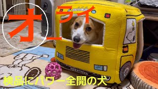 オーライ【スヌーピーのスクールバス型ベッド】検品が過激すぎる犬