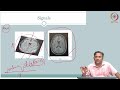 3 signals u0026 systems overview introduction to biomedical imaging systems