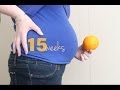 15 weeks pregnant with baby # 2 | IVF Pregnancy { Miscarriage due date } 15 weeks pregnant with baby # 2 | IVF Pregnancy { Miscarriage due date }