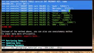 Python Tutorial - PostgreSQL Database Part 2