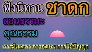 ฟังนิทานชาดก สอนธรรมะ คุณธรรม การมีเมตตา การอดทน การใช้ปัญญา #นิทานก่อนนอน #คลายเครียด #ธรรมะสอนใจ