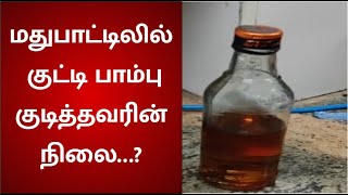 மது பாட்டிலில் கிடந்த குட்டிப் பாம்பு- மது குடித்தவர் மயக்கம்!