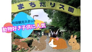 【町田市おすすめスポット】まちだリス園　動物好き大必見