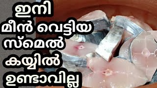 കയ്യിലെ മീൻ മണം പോവാൻ എളുപ്പമാർഗം/How To Remove Fish Smell From Hands