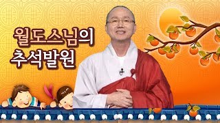 [추석]즉문즉설 월도스님의 추석 발원은 무엇일까요?