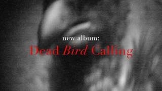 holotrop - dead bird calling (official trailer)