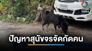 ปัญหาสุนัขจรจัดกัดคน ต้นเหตุเพื่อนบ้าน | เช้านี้ที่หมอชิต