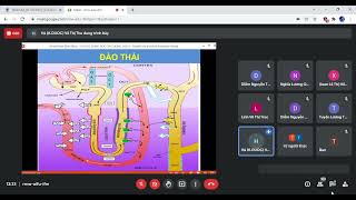 DƯỢC ĐỘNG - Buổi 3: Dược động học đại cương (3) - Tương tác thuốc - GV: Võ Thị Thu Hà