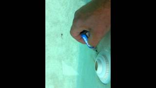 Leak Around Pool Return