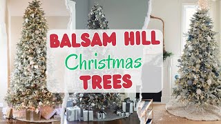 9 Best Balsam Hill Christmas Trees 2024