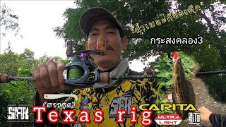 EP-145 เดินตกปลา สไต์ #texas #ปลากระสงค์ ทำปลาคลองนี้ไซส์ดรจัง😁