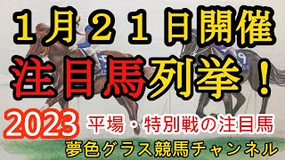 【注目馬列挙・平場予想】2023年1月21日JRA平場特別戦！中山、中京、小倉全メインレースの注目馬！日曜日に向けて馬場を確認！