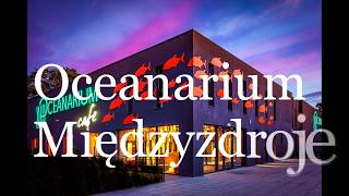 Oceanarium Międzyzdroje ;D- LIPIEC 2019