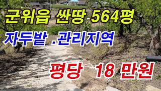 시퀀스 02군위읍싼땅564평(물건번호  231 번  )   군위시내에서 10분거리 싼땅 1865 ㎡  (  564 평   )  (평당  18  만원    )